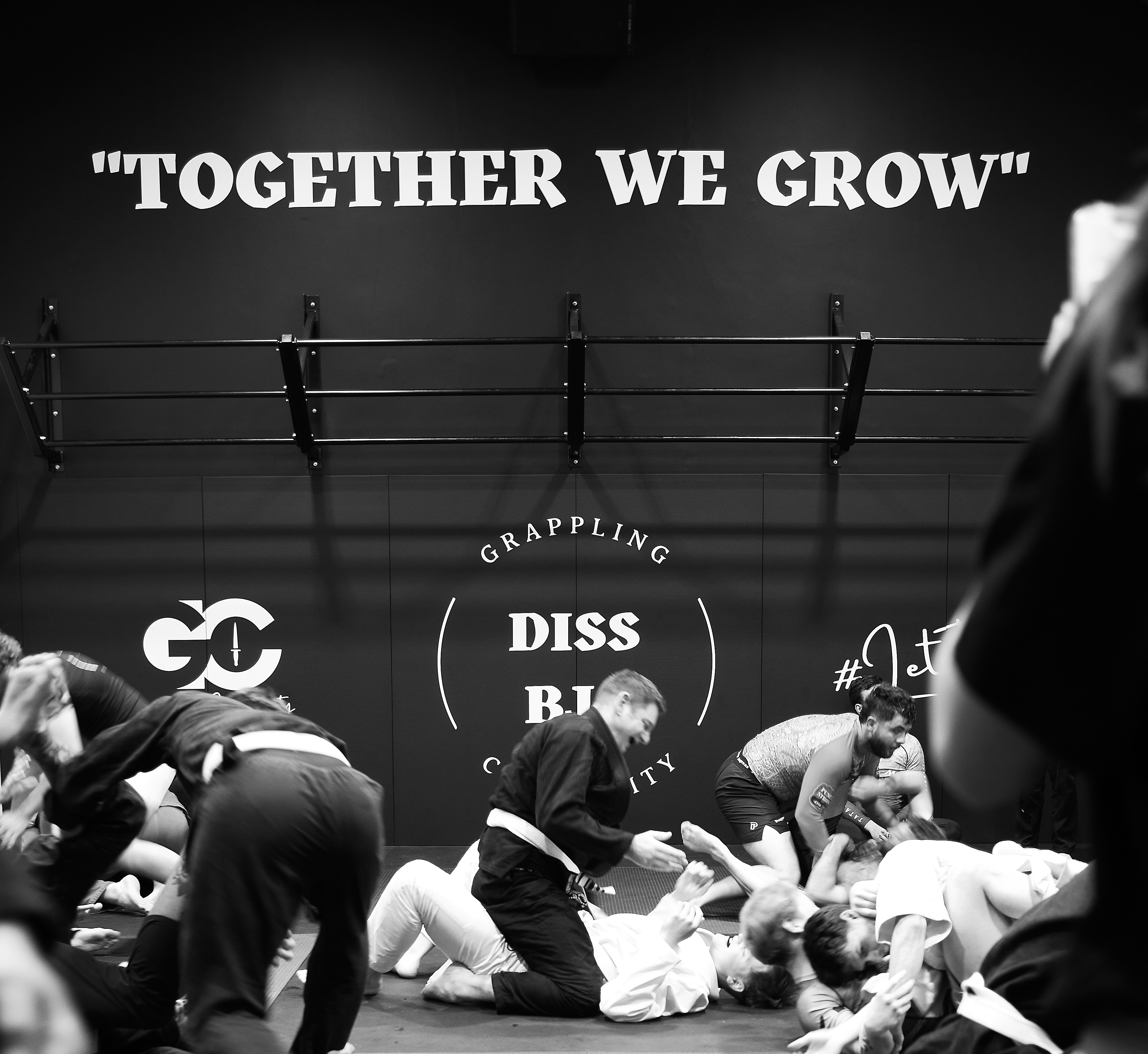 BJJ Training